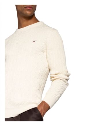 Gant Pullover Herren, Beige