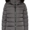 HERNO Daunenjacke Damen, Grau
