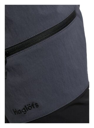 Haglöfs Rugged Flex Shorts Herren, Blau