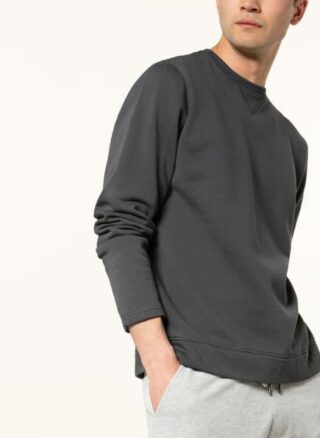 Juvia Sweatshirt Herren, Grün