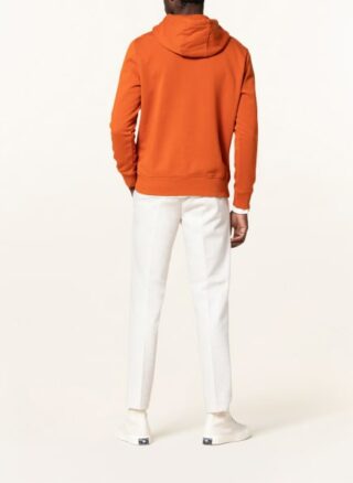 Napapijri Balis Hoodie Herren, Braun