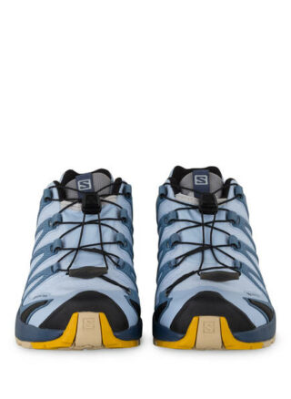 Salomon Xa Pro 3d v8 Gtx Trailrunning-Schuhe Damen, Grau