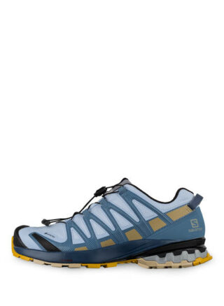 Salomon Xa Pro 3d v8 Gtx Trailrunning-Schuhe Damen, Grau