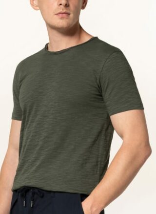 Stefan Brandt Elias T-Shirt Herren, Grün