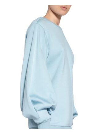 Ted Baker Aidiina Sweatshirt Damen, Blau