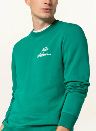 Ted Baker Trophey Sweatshirt Herren, Grün