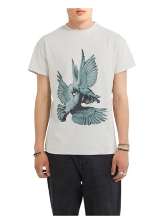 YOUNG POETS SOCIETY Sculptured Birds Daylen 214 T-Shirt Herren, Grau