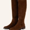 darling harbour Stiefel Damen, Braun