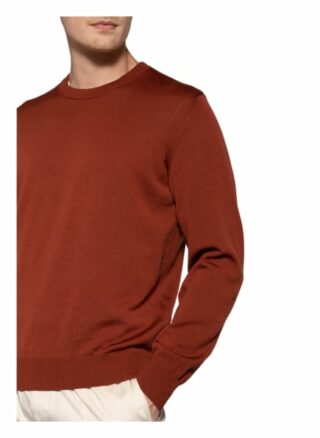 maerz muenchen Pullover Herren, Grün