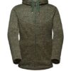 mammut Chamuera Hoodie Herren, Grün
