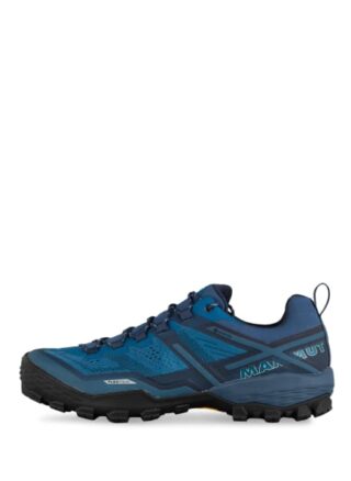 mammut Ducan Low Gtx Outdoor-Schuhe Herren, Blau