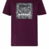 mammut Graphic T-Shirts Damen, Lila