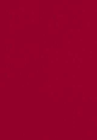 seidensticker Blusentop Damen, Rot