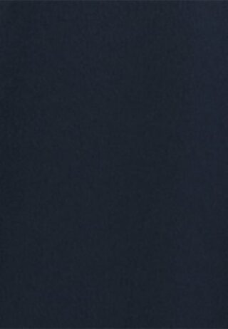 seidensticker Hemdblusenkleid Damen, Blau