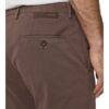 windsor. Chino Herren, Braun